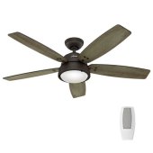Hunter Outdoor Ceiling Fan With Remote Control
