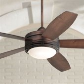 Indoor Outdoor Ceiling Fans With Light