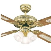 Polished Brass Ceiling Fan Light