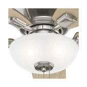 Replacement Globes For Ceiling Fan Lights