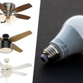Can You Use Regular Light Bulbs In A Ceiling Fan