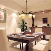 Ceiling Lighting Ideas For Dining Room