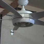 Hampton Ceiling Fan Light Bulb
