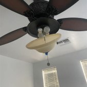 Lights In Ceiling Fan Wont Work